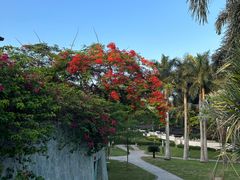 -石梅湾艾美度假酒店