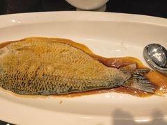 -新雅粤菜馆(南京东路店)