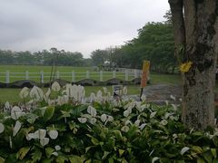 -瑞穗牧场