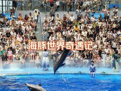 -海合安成都极地海洋公园