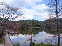 -广州市石门国家森林公园