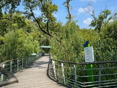 -西湖风景区-江洋畈生态公园