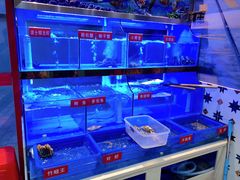 -小龍鳳·港式海鲜打边炉(沙湖路店)