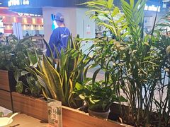 -茶港·点心·啫啫煲(王府井店)