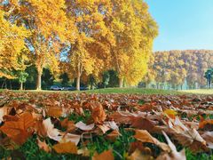 -河南省黄河迎宾馆