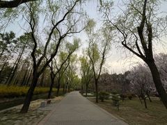 -洛阳市隋唐城遗址植物园