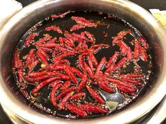 红汤锅底-大龙火锅(老店)