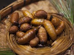 -昆虫窝子·特色云南菜(拓东路总店)