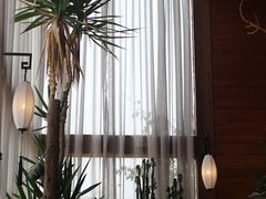-乌托邦轰趴日租聚会别墅(先生的院子店)