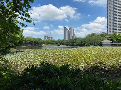 -荔湾湖公园