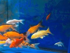 -足来足往养生会所