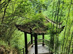-阿依河景区