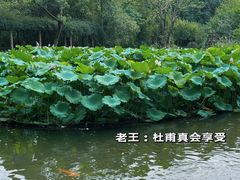 -成都杜甫草堂博物馆