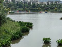 -枫香湖儿童公园
