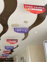 -雪儿海蒂·女性私密整形专科