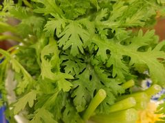 -楼外楼肥羊木炭火锅居(乐群街店)
