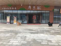 -丝路盛宴美食城