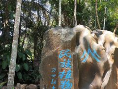 -西双版纳原始森林公园