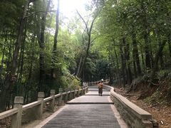 -灵岩山风景区