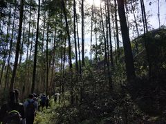 -马头山