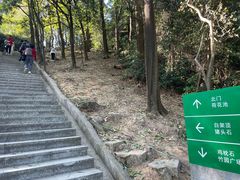 -火炉山森林公园