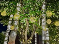 -青果巷历史文化街区