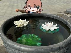 -元唐家宴•经典东北菜(梅市口路店)