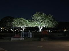 -悉尼歌剧院