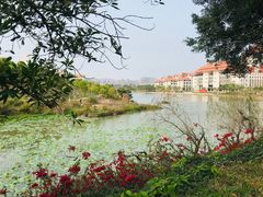 -厦门大学(思明校区)