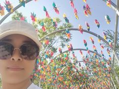 -西部长青自然儿童乐园