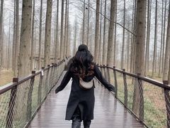 -黄海国家森林公园