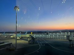 -一轩饺子馆(丽都店)