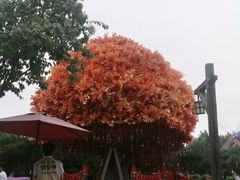 -沈阳方特欢乐世界