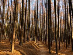 -山王坪喀斯特国家生态公园