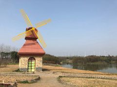 -杭州湾海上花田景区