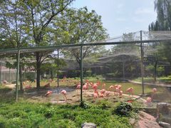 -石家庄市动物园