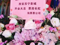 -苏宁影城