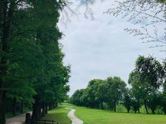 -同里国家湿地公园
