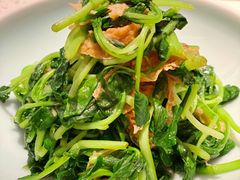 邹山腐皮鸡毛菜-竹外桃花·江南小酒馆(SKP·S店)