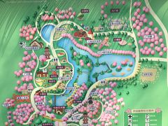 -天适樱花悠乐园