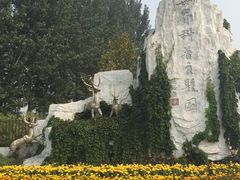 -北京鹿世界主题园