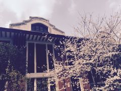 -上海交通大学医学院附属瑞金医院(总院)