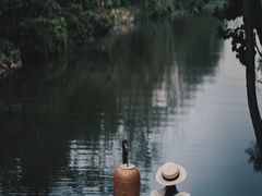 -日照海滨国家森林公园