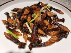 石烹原味鸡枞菌-雲蜀龙阁·金牌水煮鱼(方庄店)