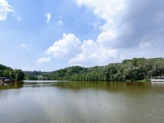 -三水森林公园