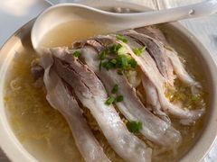 -食家鸽园