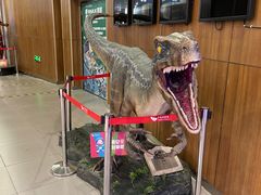 -卢米埃影城(长楹天街IMAX激光店)