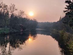 -盐城丹顶鹤湿地生态旅游区