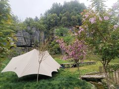 -梭布垭石林景区