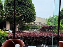 -杭州君悦酒店
